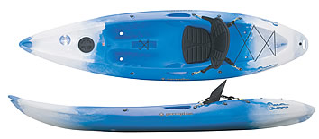 Perception Scooter